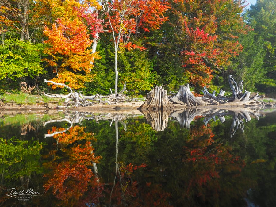 Kennisis Lake Highlights