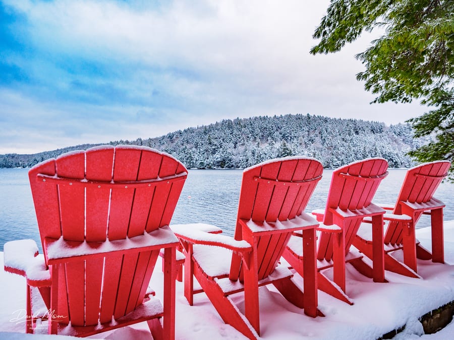 Red Muskoka Chairs in Snow