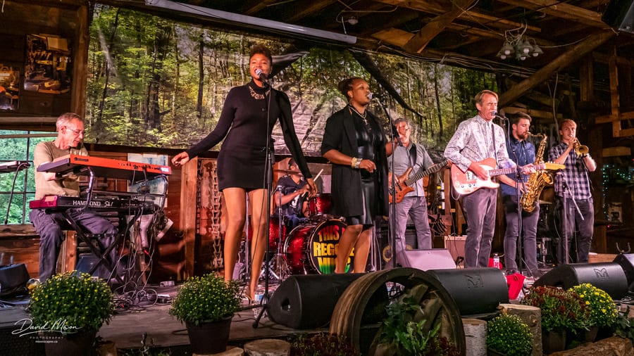 The Sattalites Reggae Band performing at The Forest Festival 2019, Haliburton, Ontario