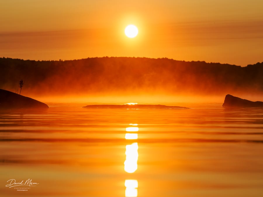 Golden Mist at Sunrise