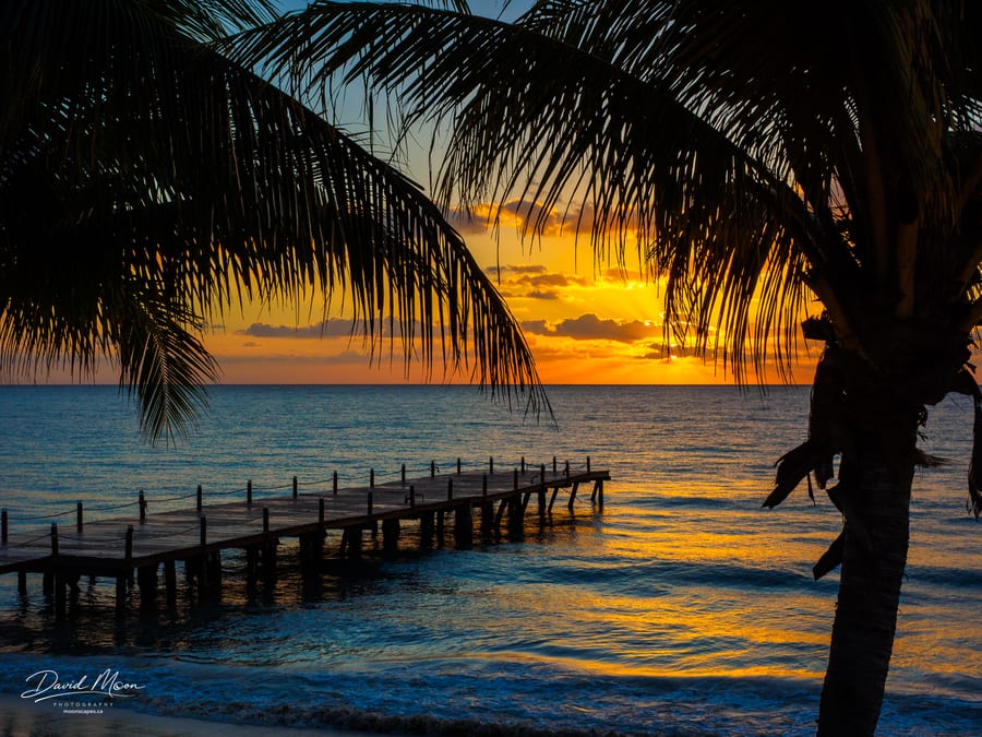 Palm Tree Sunset, Playa Del Carmen, Mexico