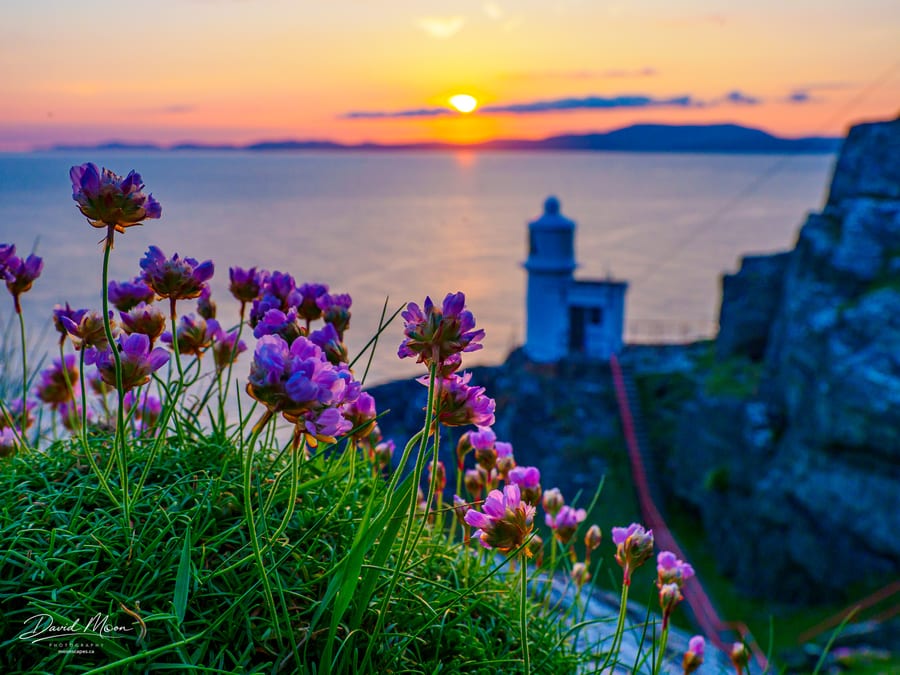 Sheep's Head Lighthouse at Sunset, ireland