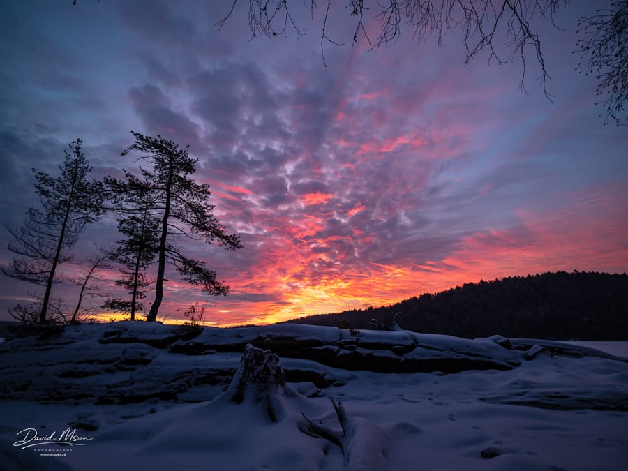 Winter Sunrise over Coqui Island on Kennisis Lake, Haliburton, Ontario