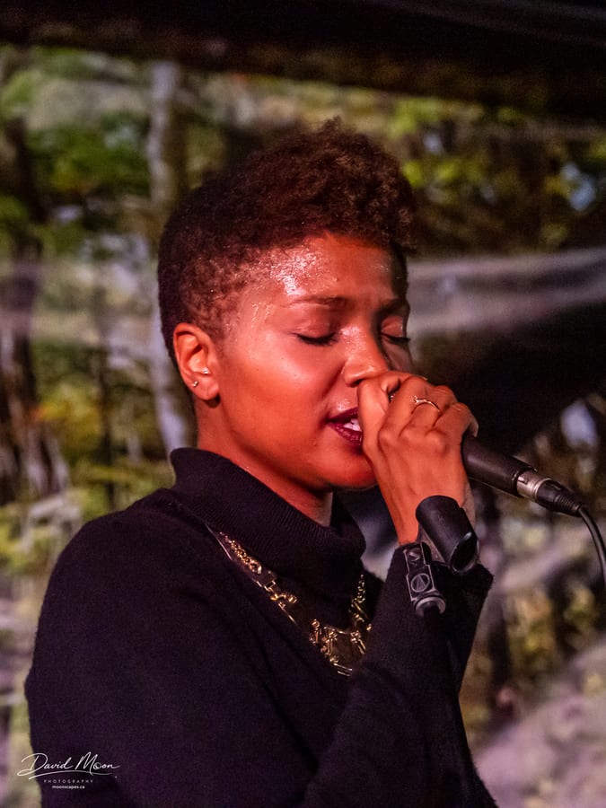 The Sattalites Reggae Band performing at The Forest Festival 2019, Haliburton, Ontario