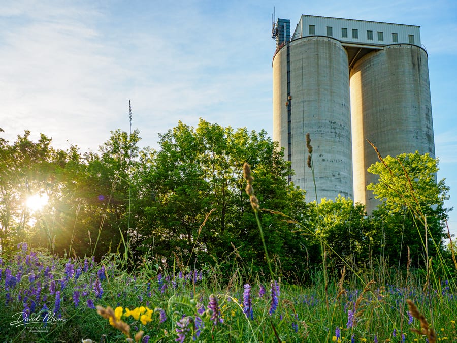 Silos in the Evening Sun