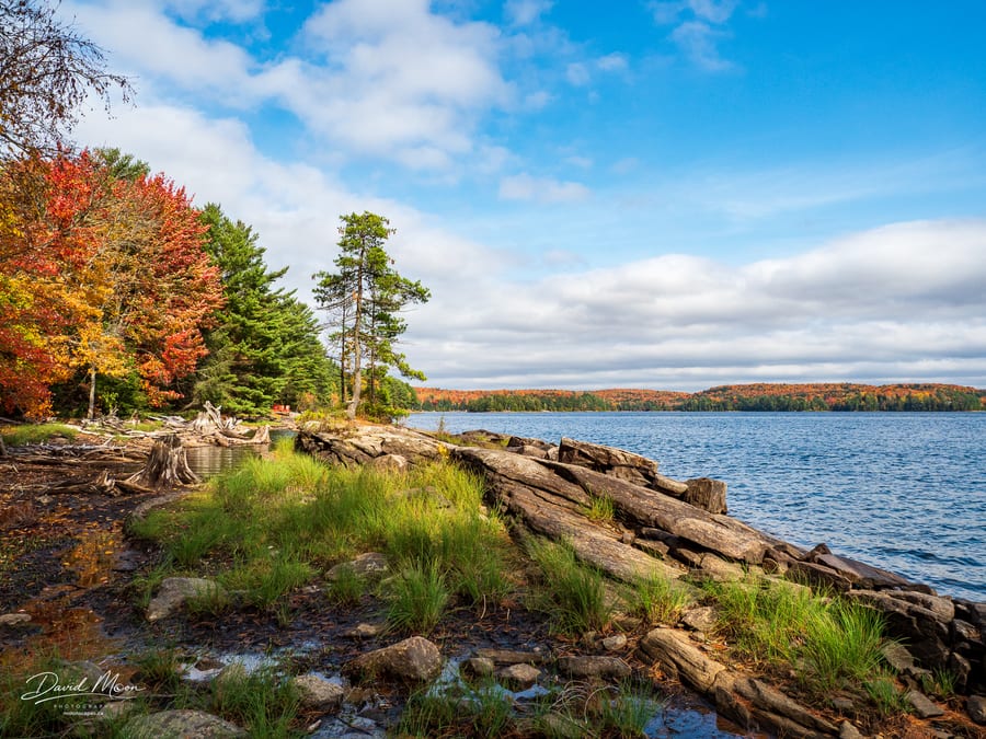 Autumn Shore of Kennisis Lake