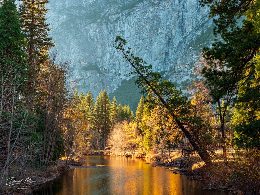 Merced River in Morning Light