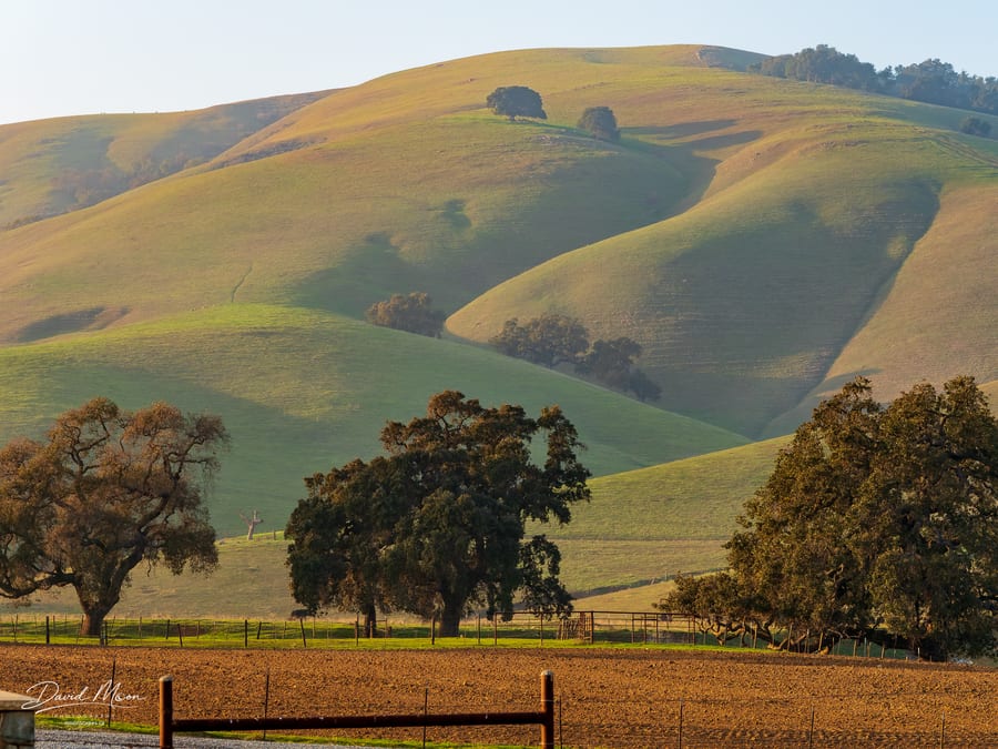 California Hills and Oaks