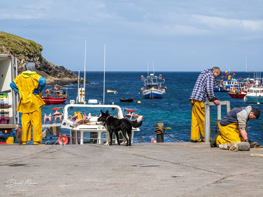 Working Pier at Porturlin