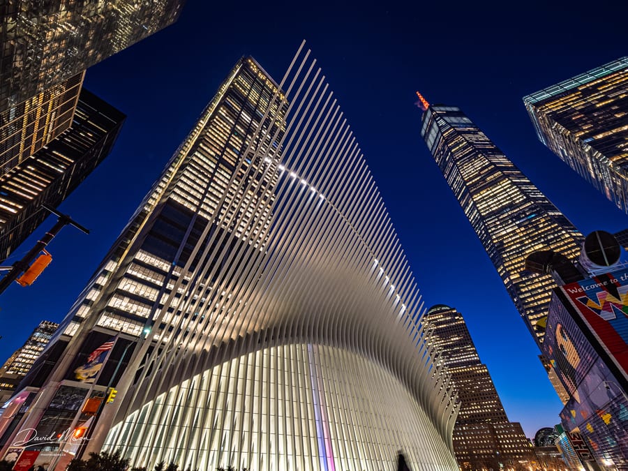 Oculus and One World Trade Center