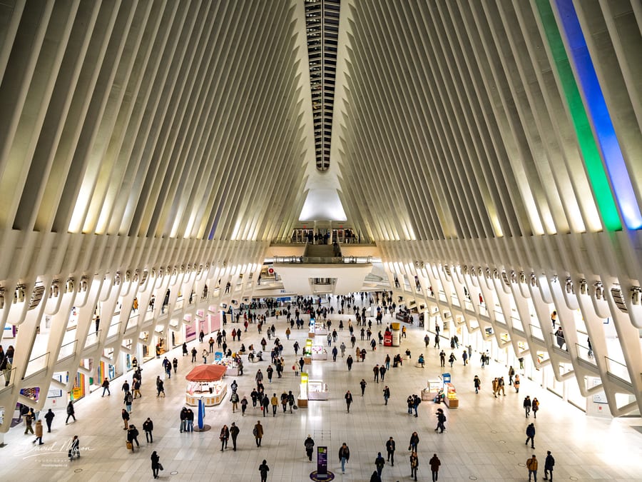 Inside the Oculus