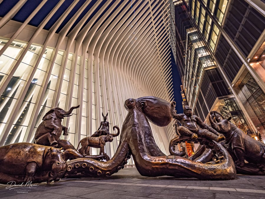Animals Beneath the Oculus