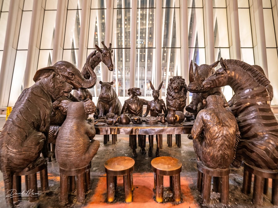 The Wild Table of Love