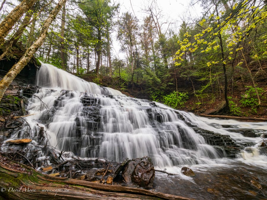 Waterfall Cascade at Ricketts Glen