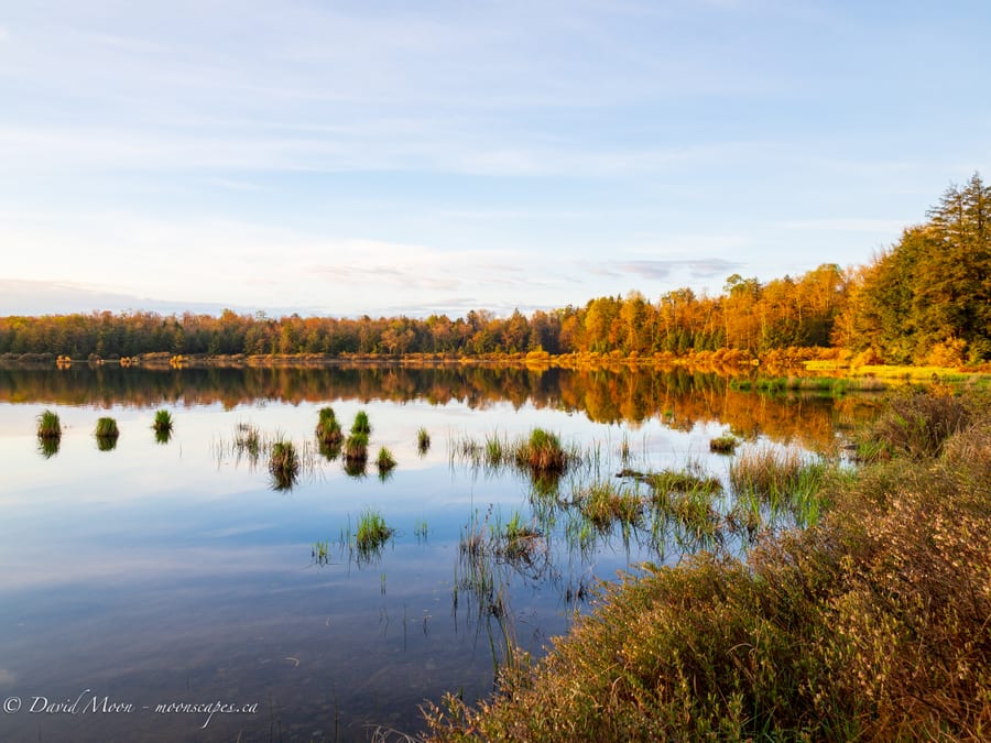 Golden Morning Reflections