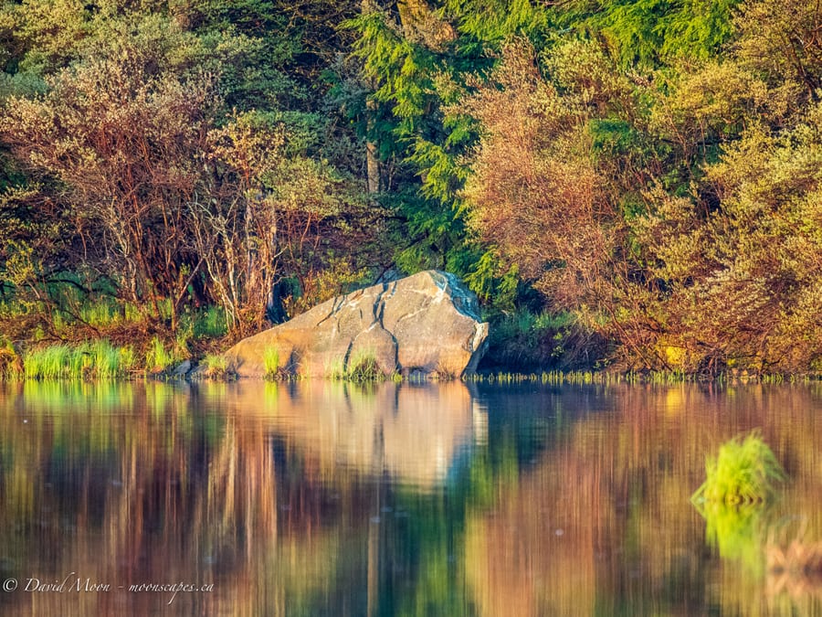 Rock Reflections at Ricketts Glen