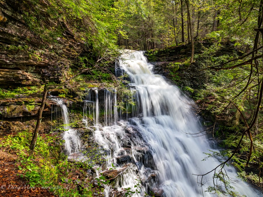 Tiered Waterfall at Ricketts Glen