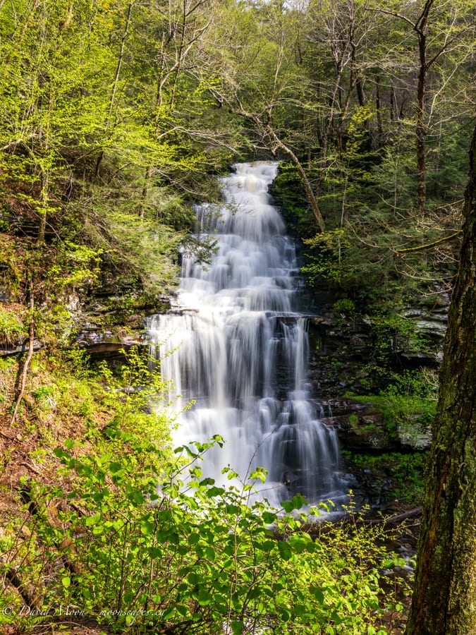Tall Falls at Ricketts Glen