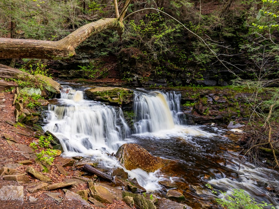 Lower Falls at Ricketts Glen