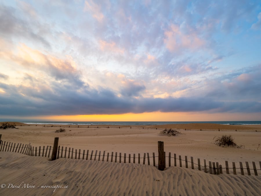 Dune Fence under Evening Sky