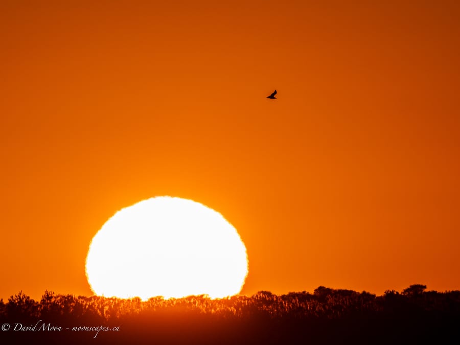 Sunset over the Dunes
