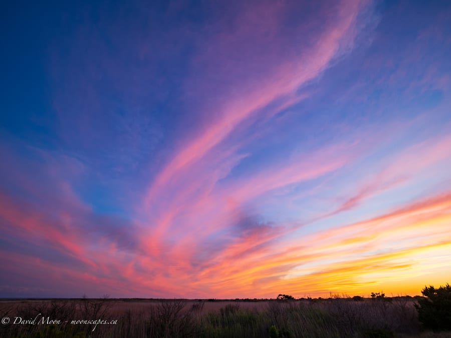 Pastel Sunset over the Marsh