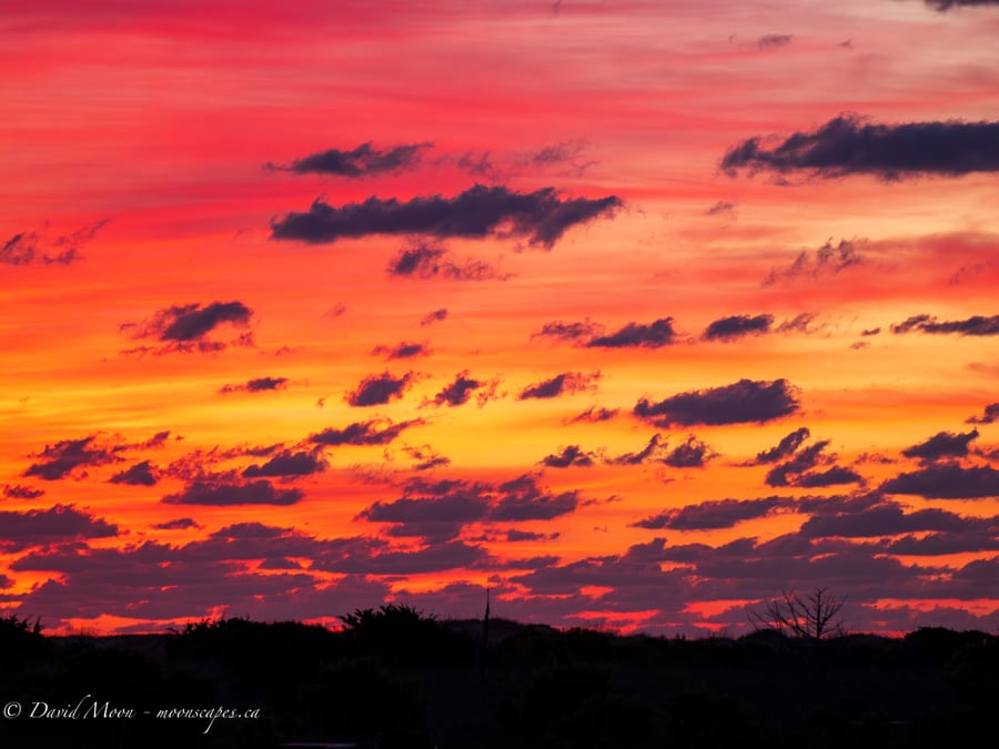 Fiery Coastal Sunset