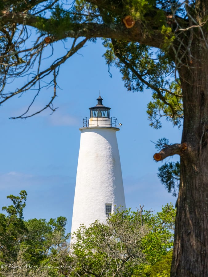 Ocracoke Lighthouse