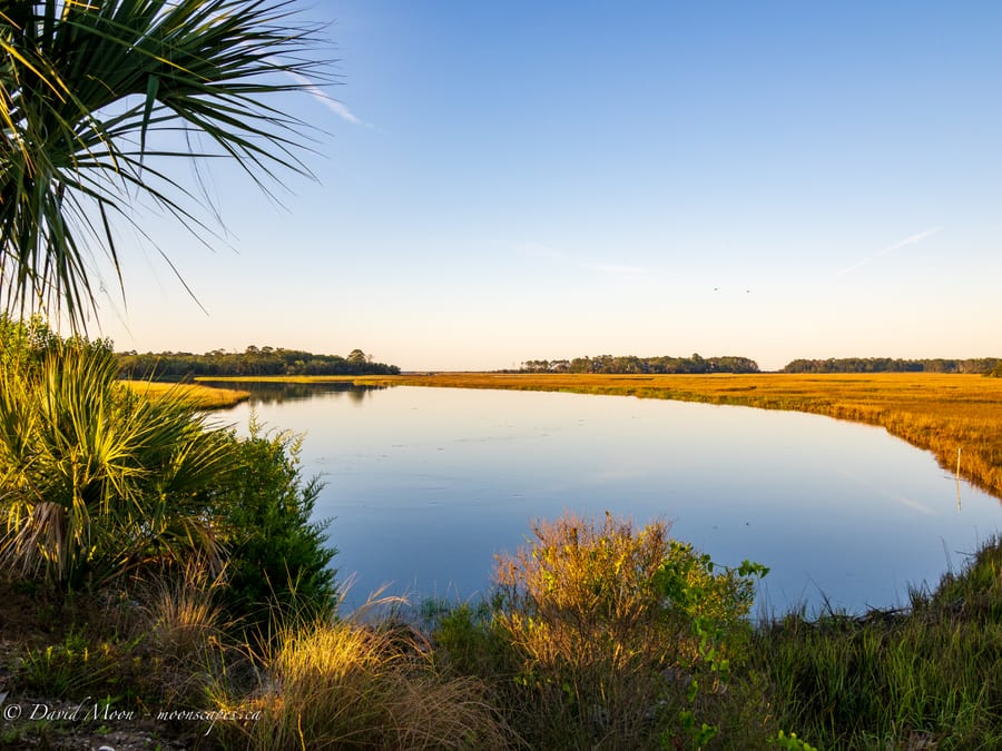 Kiawah River Marsh