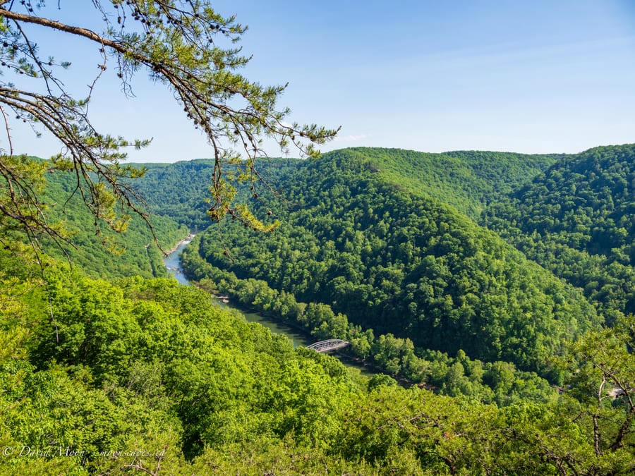 New River Gorge Overlook