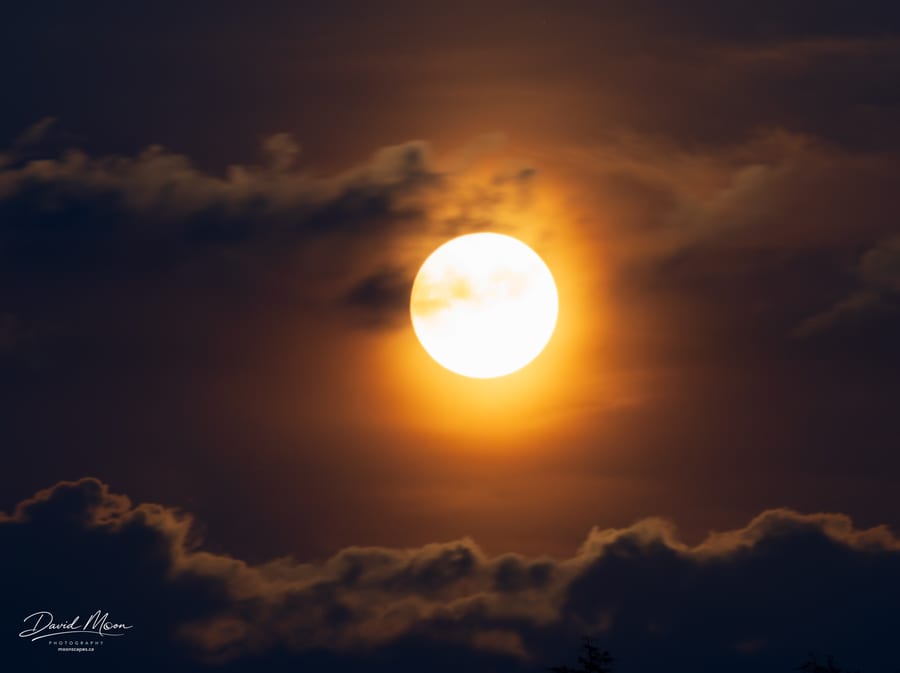 Haloed Full Moon