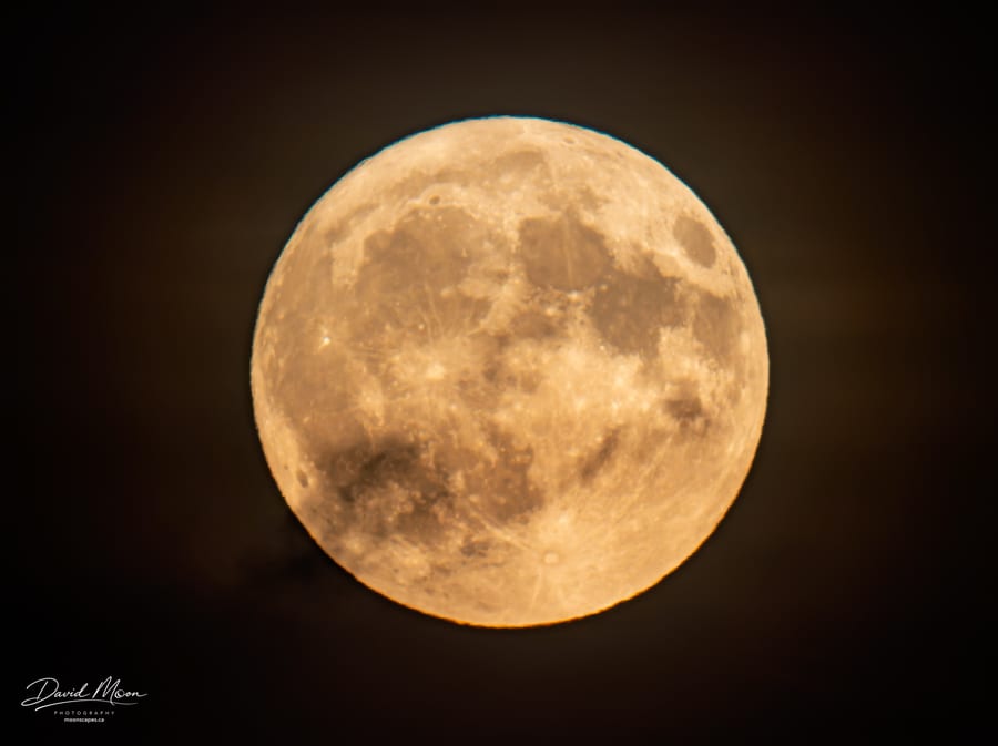 Sturgeon Moon Close-Up