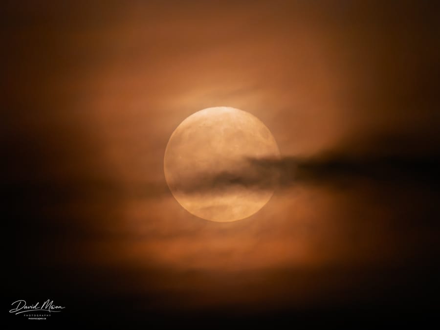 Sturgeon Moon Behind Mist