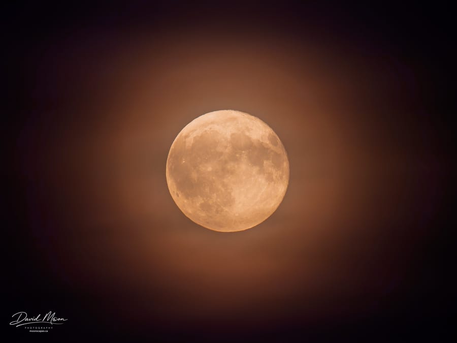 Full Moon in Amber Haze