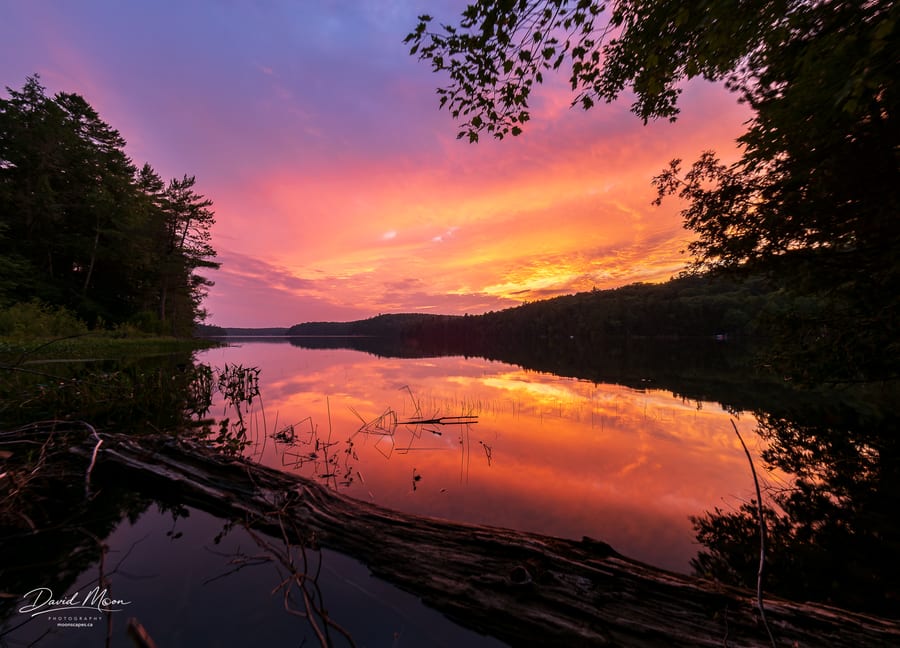 Rose-coloured Evening on Macdonald Lake
