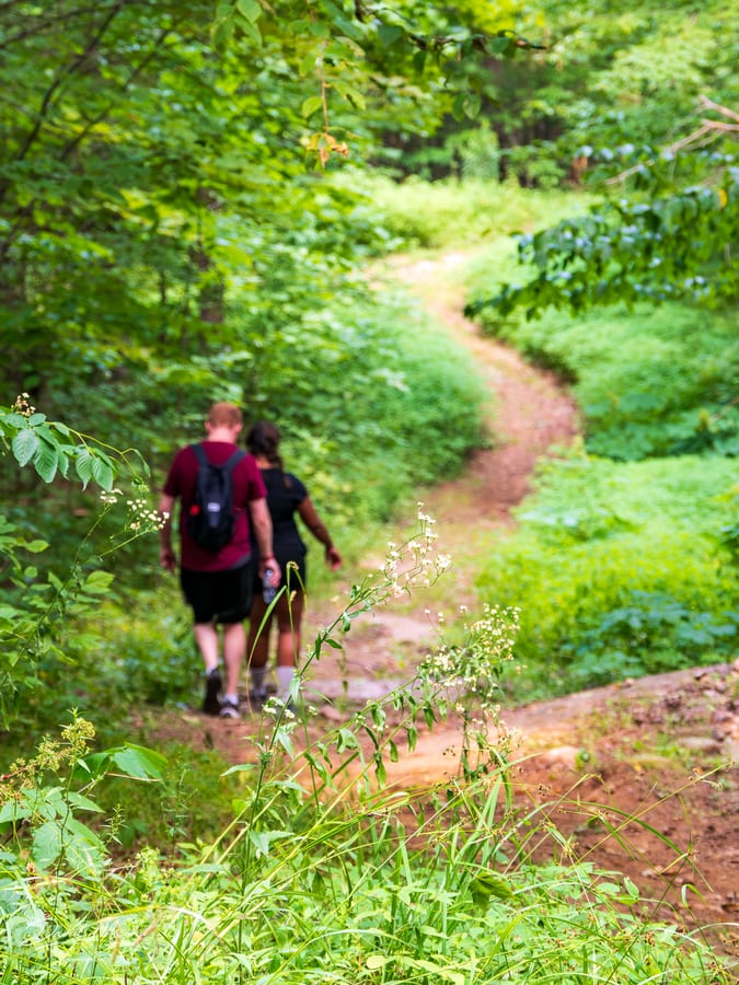 Hiking the Forest Trail