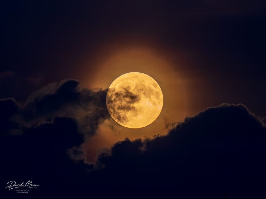 Sturgeon Moon Between the Clouds