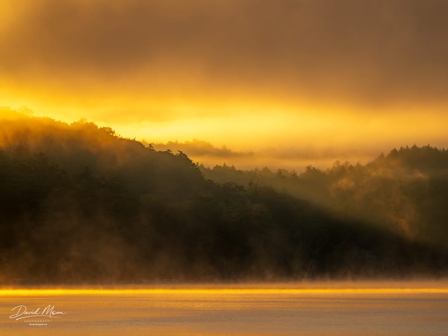 Golden Mist Across the Highlands