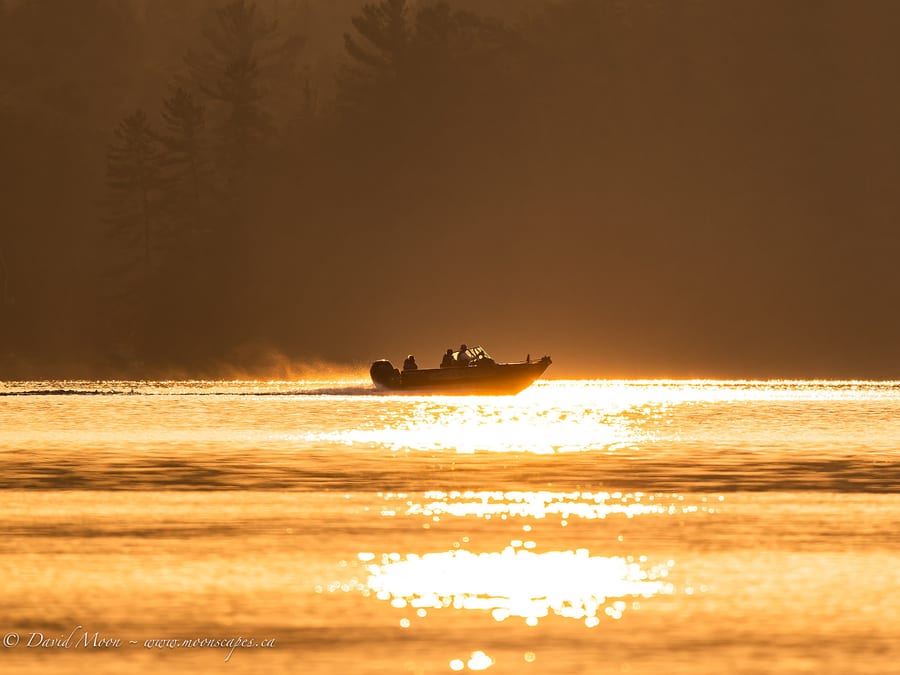 Fishing in Golden Light