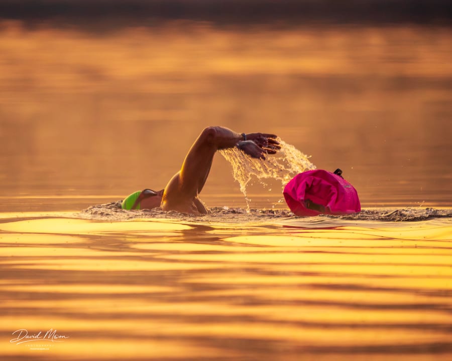 Morning Swim in Golden Light